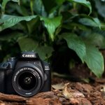 Canon EOS 4000D Camera Review: Is the Canon EOS 4000D Good for Beginners? 24 | Mania Africa | maniainc.com https 3a 2f 2fsubstack post media s3 amazonaws com 2fpublic 2fimages 2f127b537c 8033 4c89 8b84 b7ff75a387b5 1200x800 jpeg 1 1 | Mania Africa: News, Sports, Tech, Movies, and Lifestyle | maniainc.com