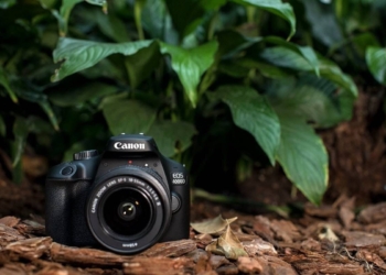 Canon EOS 4000D Camera Review: Is the Canon EOS 4000D Good for Beginners?