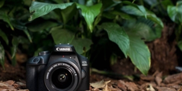 Canon EOS 4000D Camera Review: Is the Canon EOS 4000D Good for Beginners?