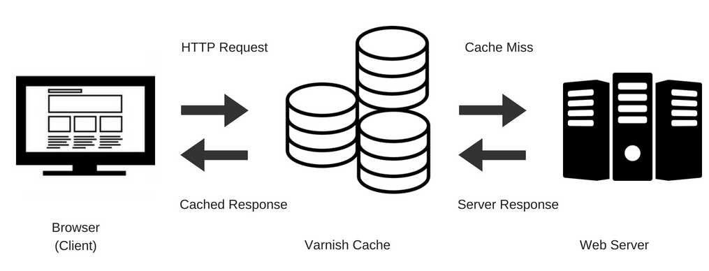 CPU-Optimized Hosting,CPU-Optimized Server,WordPress Multisite How Varnish Server-Side Caching Works - Why Your WordPress Multisite Is Slowing Down — and How CPU-Optimized Hosting Can Fix It - Mania Developers
