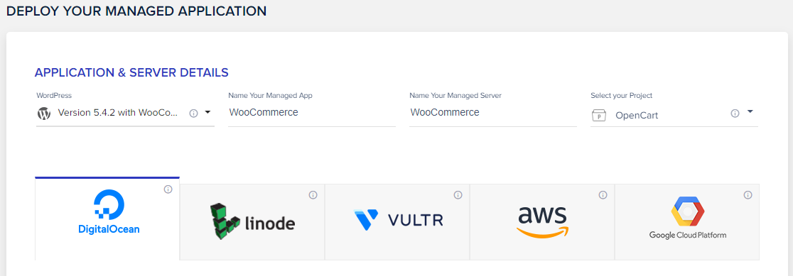 The numerous available cloud hosting providers available on Cloudways