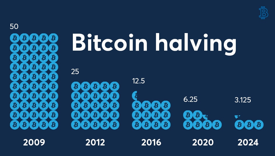 A diagram showing Bitcoin halving - To the Moon?: Is Bitcoin a Balloon in Space or a Building on a Solid Rock Foundation - A Practical, Hype-Free Look at the Feb 2026 Bitcoin Crash