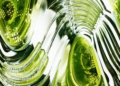 Why Users Are Rallying to #Keep4o: The Social Backlash Against OpenAI Retiring ChatGPT 4o 39 | Mania Africa | maniainc.com A close up of a green glass object - Why Users Are Rallying to #Keep4o: The Social Backlash Against OpenAI Retiring ChatGPT 4o