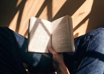A Summary of Disgrace by John Coetzee