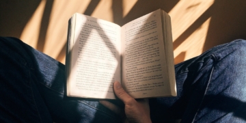 A Summary of Disgrace by John Coetzee