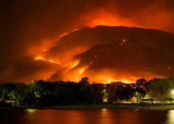 What are the Causes of Climate Change and How to Mitigate It