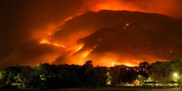 What are the Causes of Climate Change and How to Mitigate It