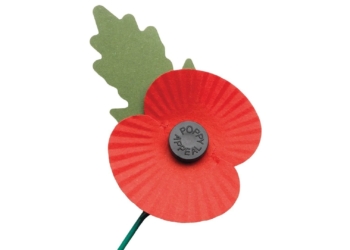 The Remembrance Poppy: What It is and What It Symbolizes