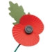 The Remembrance Poppy: What It is and What It Symbolizes