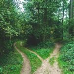 What is Conscious Decision-Making and How to Make Conscious Decisions Every Time 25 | Mania Africa | maniainc.com https 3a 2f 2fsubstack post media s3 amazonaws com 2fpublic 2fimages 2f5e51f664 6ebf 4763 bb2a ba70b537ad7b 2000x1339 jpeg 1 1 | Mania Africa: News, Sports, Tech, Movies, and Lifestyle | maniainc.com