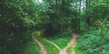 What is Conscious Decision-Making and How to Make Conscious Decisions Every Time
