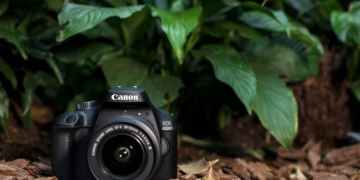 Canon EOS 4000D Camera Review: Is the Canon EOS 4000D Good for Beginners?