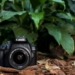 Canon EOS 4000D Camera Review: Is the Canon EOS 4000D Good for Beginners? 16 | Mania Africa | maniainc.com Canon EOS 4000D Camera Review: Is the Canon EOS 4000D Good for Beginners?