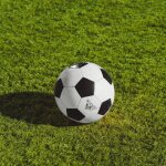 https 3a 2f 2fsubstack post media s3 amazonaws com 2fpublic 2fimages 2f670062b1 dfa7 470e a1d4 252d755d068e 2000x1333 jpeg 1 1 | Mania Africa: News, Sports, Tech, Movies, and Lifestyle | maniainc.com