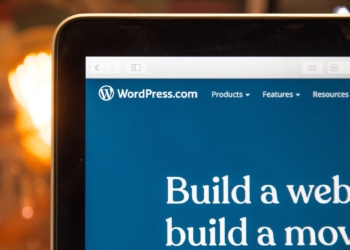 Why You Need a WordPress Developer for your New Site