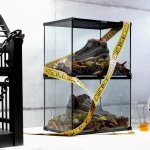 The Reebok x Jurassic World Collection: The Future is Prehistoric! 34 | Mania Africa | maniainc.com https 3a 2f 2fsubstack post media s3 amazonaws com 2fpublic 2fimages 2f7569b4d7 b243 4c9f b4c5 25aec5073ba5 2000x1499 webp 1 1 | Mania Africa: News, Sports, Tech, Movies, and Lifestyle | maniainc.com