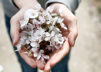 The Importance of Giving Without Expecting Anything in Return
