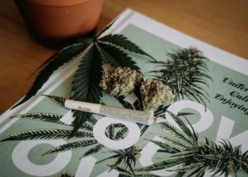 Health Benefits and Potential Risks of Cannabis: What You Need to Know