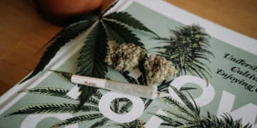 Health Benefits and Potential Risks of Cannabis: What You Need to Know