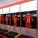 Premier League Promotion and Relegation: How Teams Climb the English Football Ladder