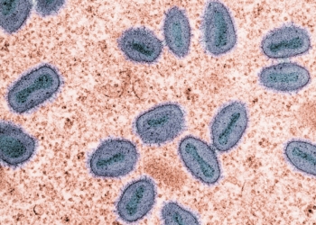 W.H.O Declares Mpox a Global Health Emergency: Critical Facts You Need to Know 42 | Mania Africa | maniainc.com W.H.O Declares Mpox a Global Health Emergency: Critical Facts You Need to Know