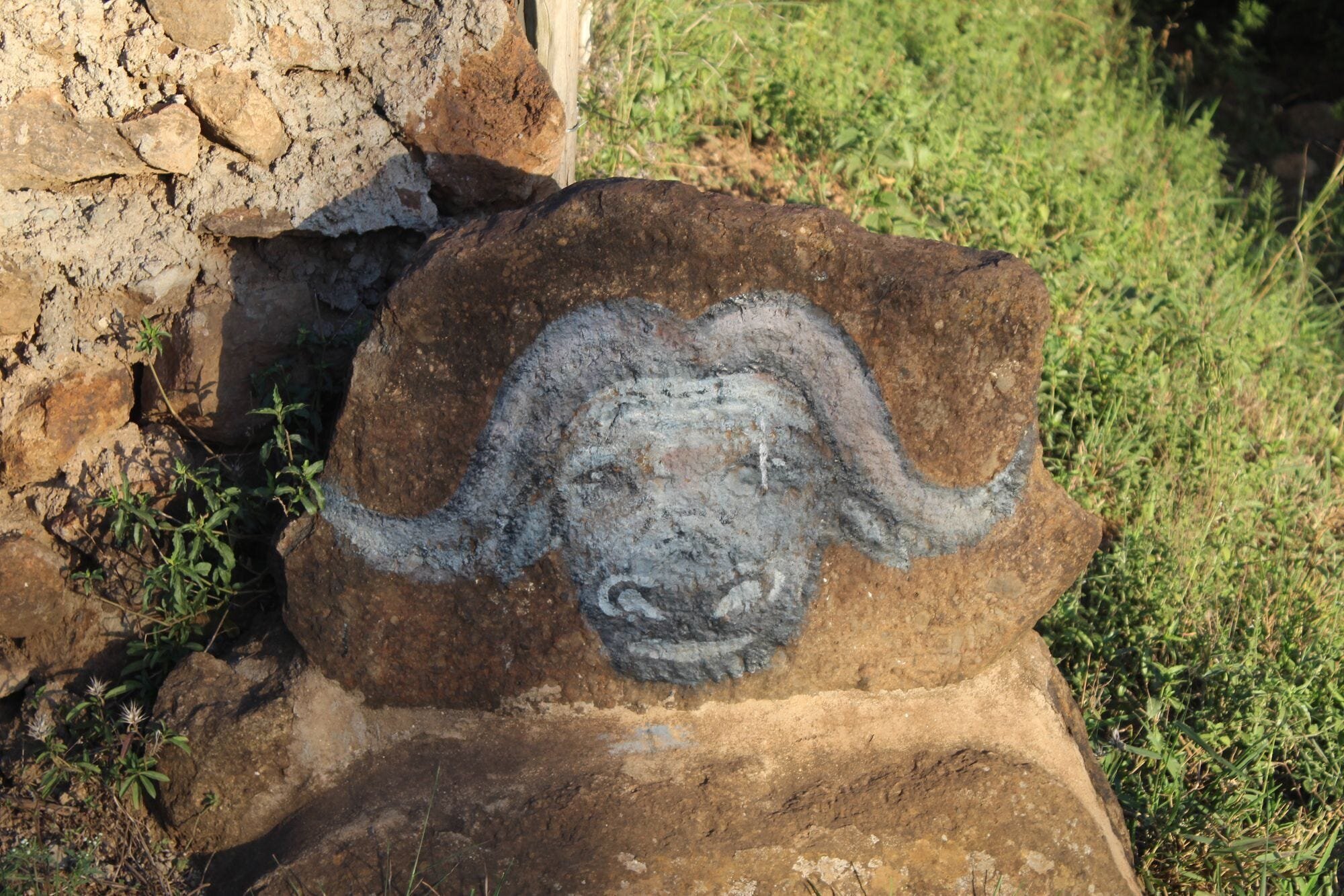 The Hippo Hangout 2 | Mania Africa | maniainc.com An image of a drawing of a Buffalo near the Hippo Hangout.
