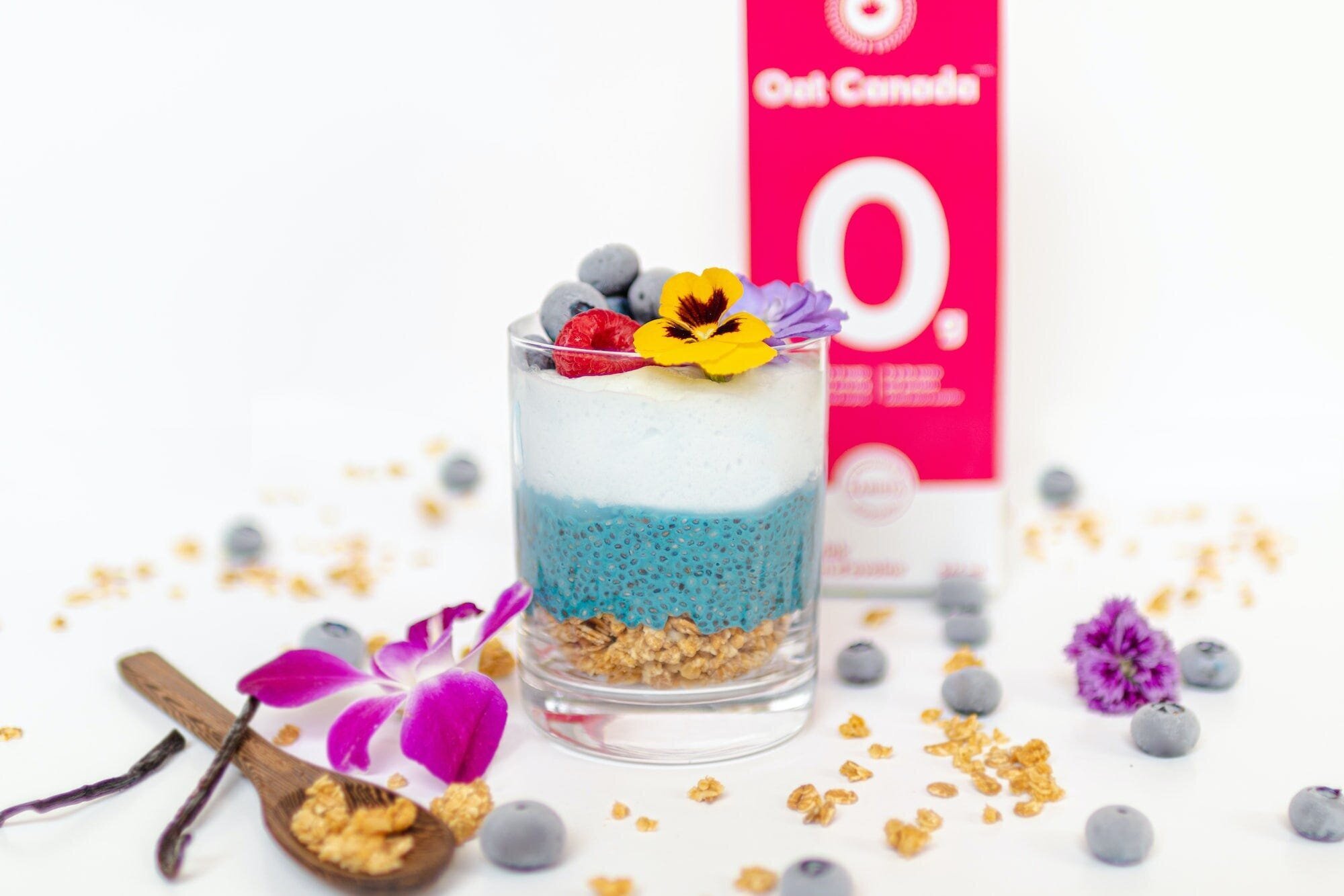 Protein Allergy? No Problem: Exploring the Best Alternative Sources of Protein for Your Diet 4 | Mania Africa | maniainc.com A vegan chia pudding smoothie containing spirulina that's a good alternative source of protein for those with a protein allergy