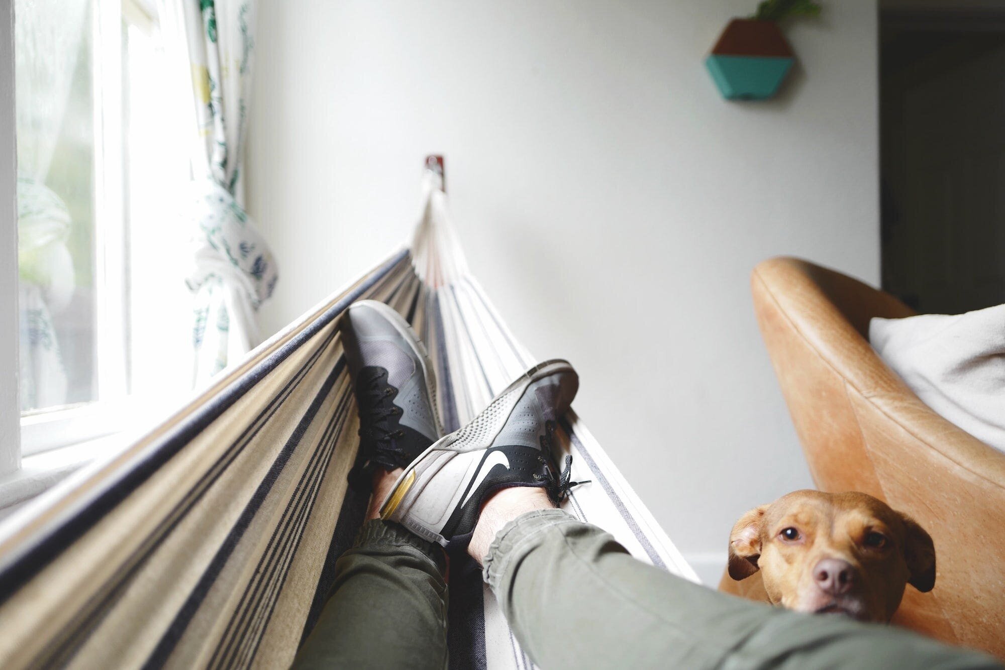 Creating a Self-Care Routine: Tips and Tricks for a Happier, Healthier You 2 | Mania Africa | maniainc.com A person on a hammock with their dog looking at them
