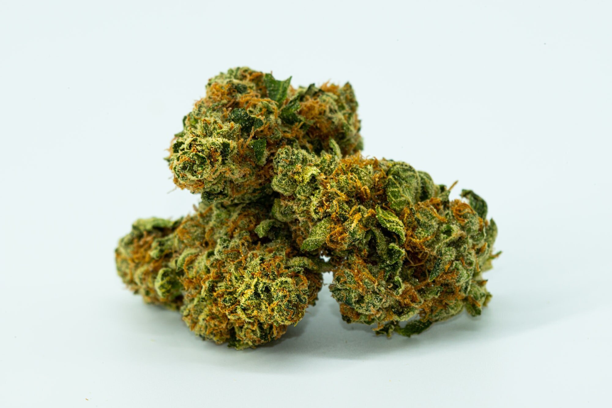Health Benefits and Potential Risks of Cannabis: What You Need to Know 2 | Mania Africa | maniainc.com A picture of cannabis buds