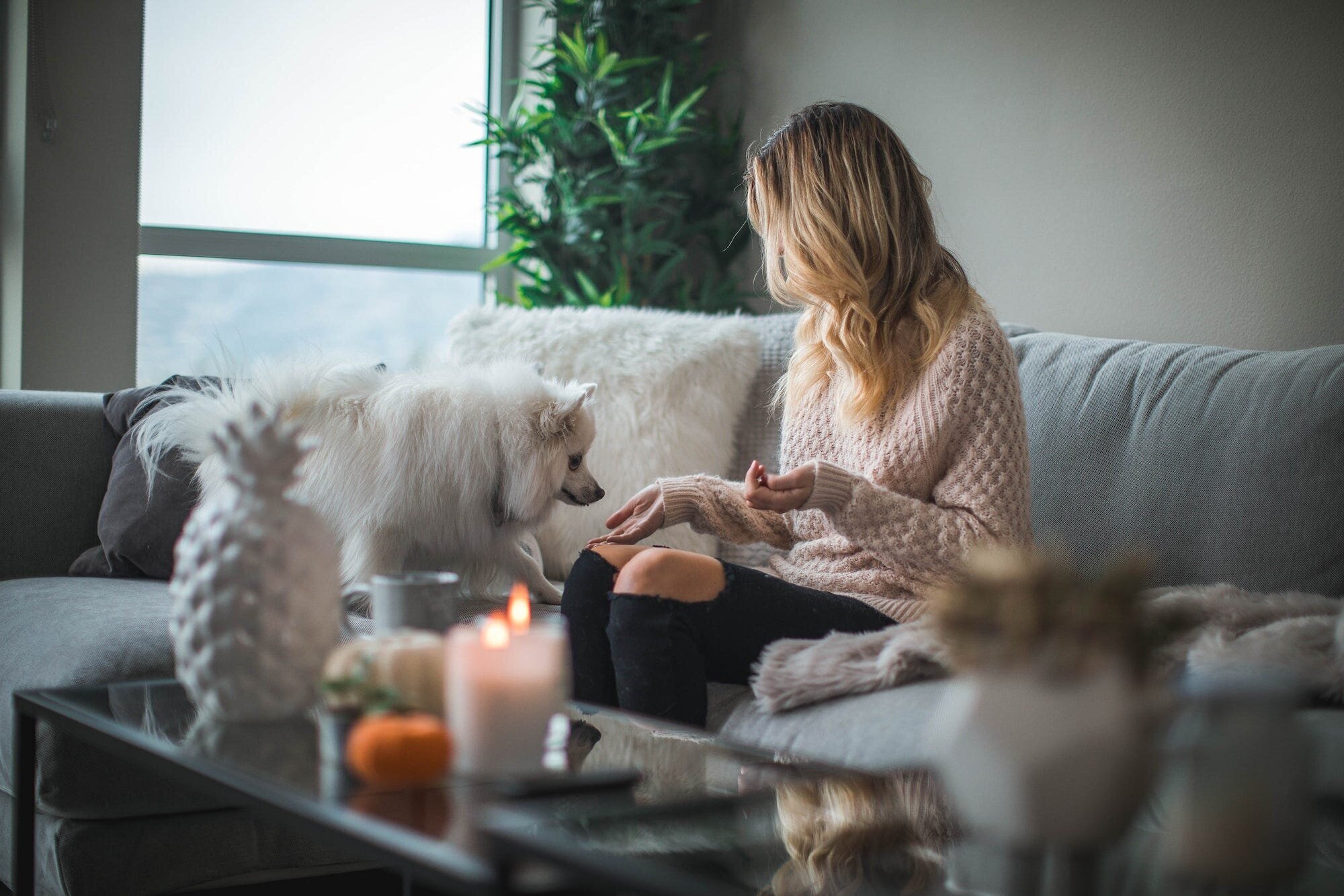 Creating a Self-Care Routine: Tips and Tricks for a Happier, Healthier You 4 | Mania Africa | maniainc.com A woman seated on a couch with her dog as they play