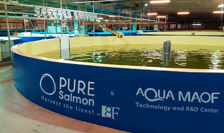 Middle-Income Trap, 3i Strategy A Salmon farm | Escaping the Middle-Income Trap: How the 3i Strategy Can Guide Developing Nations to High-Income Status | Mania Business
