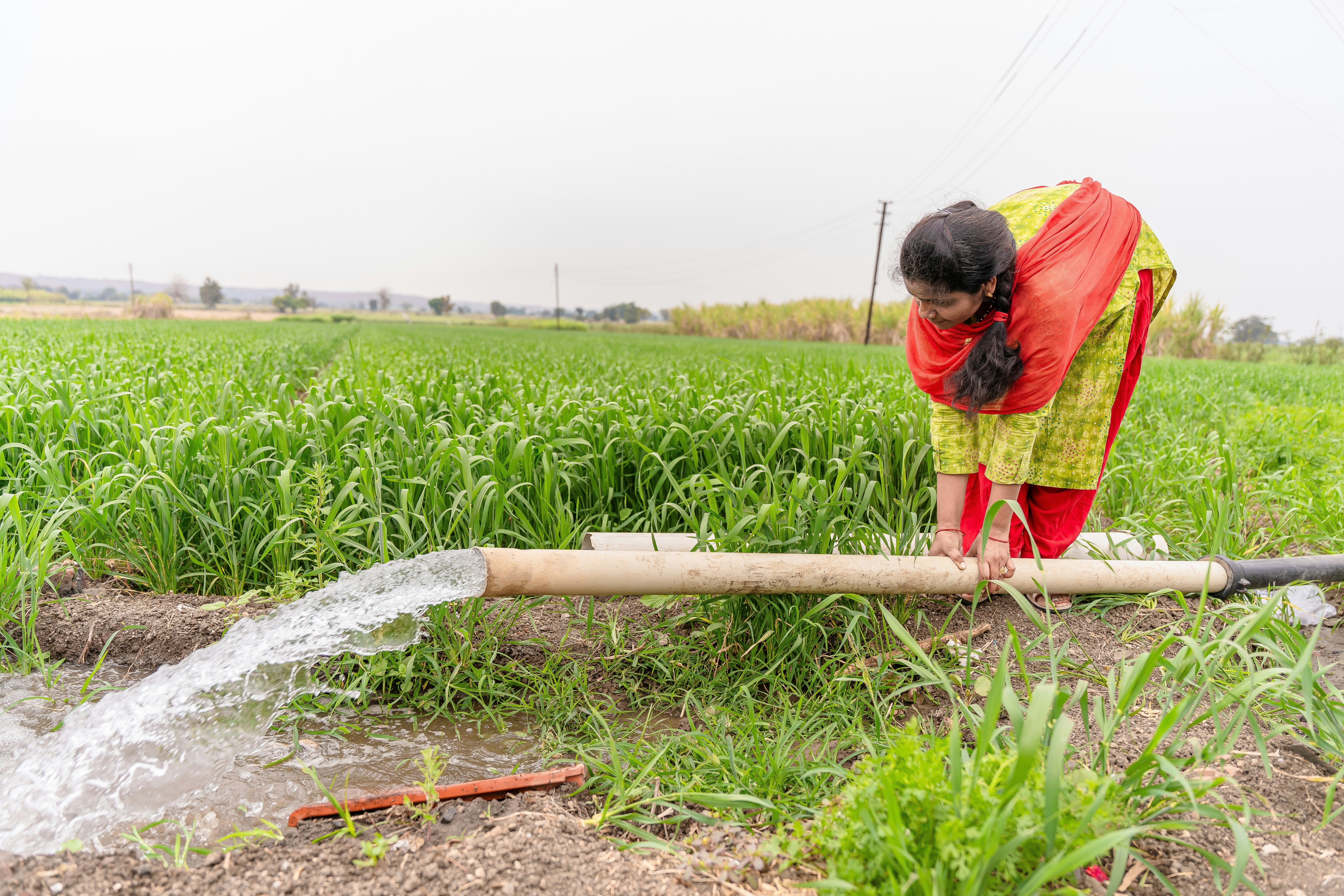 Middle-Income Trap, 3i Strategy A farmer in India watering crops | From Middle-Income to High-Income: The Power of the 3i Strategy | Mania Africa