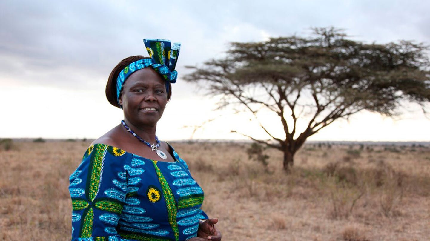 The Urgent Realities of Climate Change: Facts and Solutions for a Sustainable Future 5 | Mania Africa | maniainc.com A photo of Wangari Maathai | The Urgent Realities of Climate Change | Mania Science