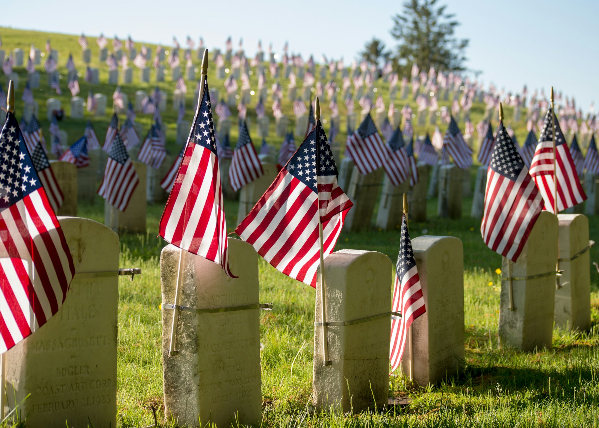 Conspiracy Theories and Extremism: Is a Civil War Looming in America? 8 | Mania Africa | maniainc.com USA flags on tombstones | The Dangers of Failing to Rehabilitate Military Veterans | Mania Politics