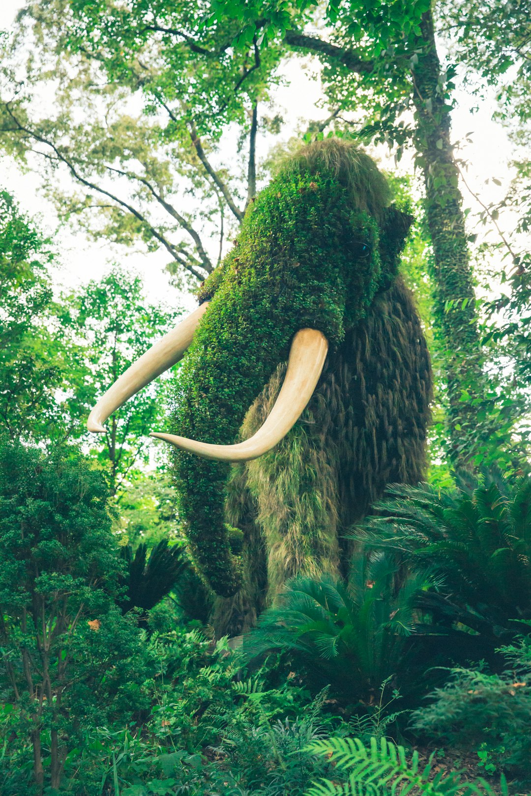Evolution is Revolution 3 | Mania Africa | maniainc.com mammoth