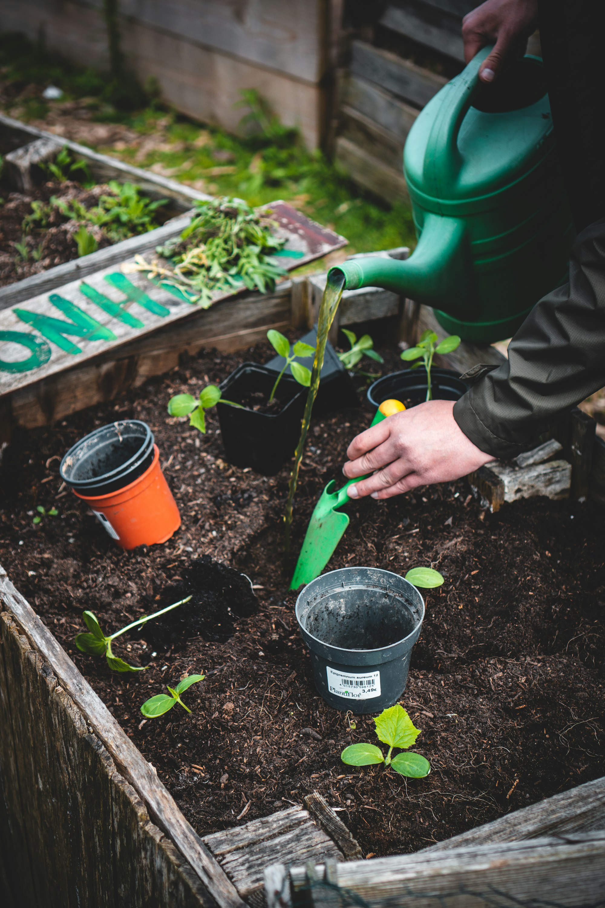 Affordable Ways to Keep Warm During the Cold Season in Kenya 12 | Mania Africa | maniainc.com Undertaking light activities such as gardening can help keep you warm during the cold season | Gardening as an affordable way to keep warm during cold winter months | Mania Lifestyle