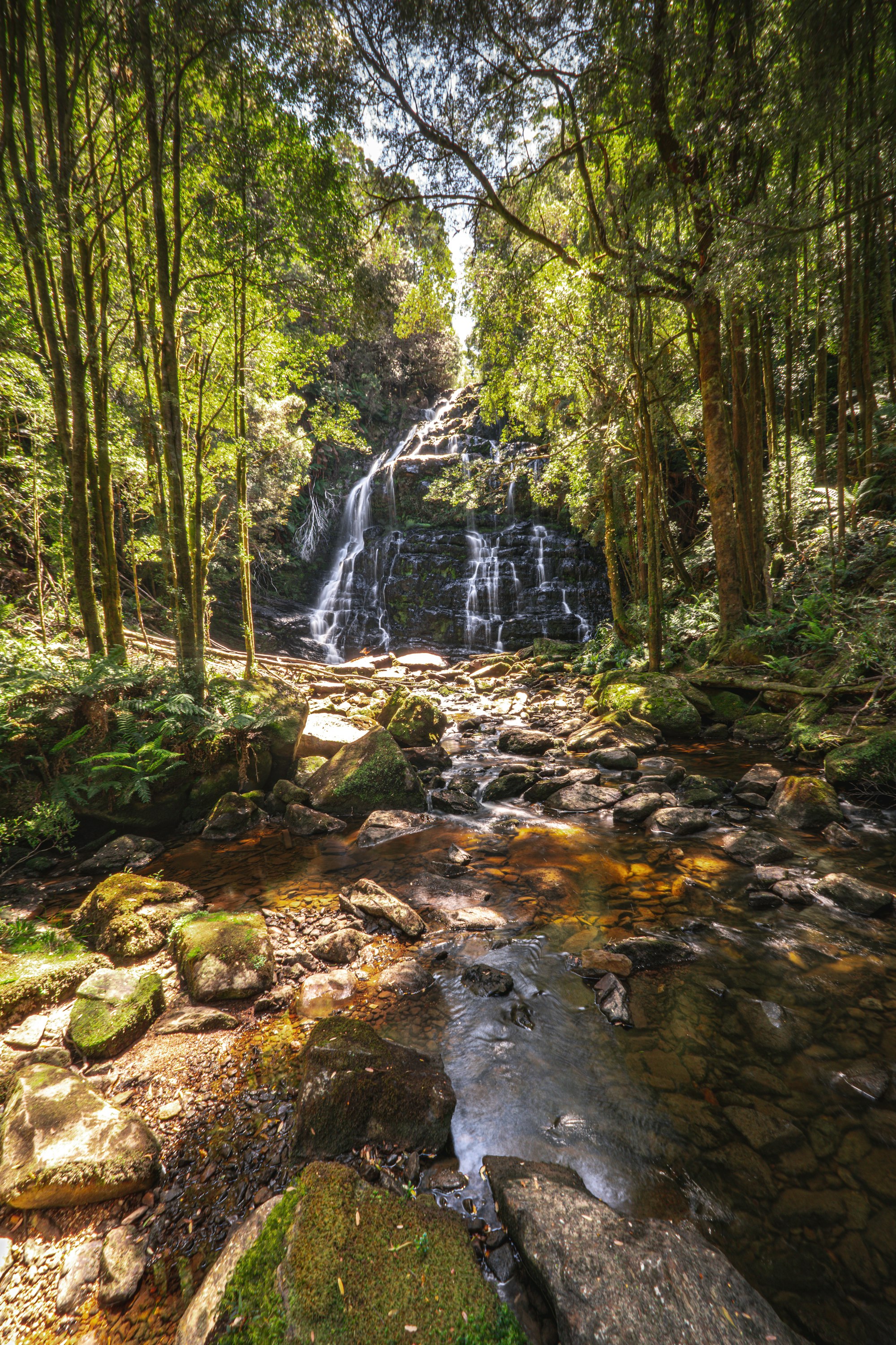 The Urgent Realities of Climate Change: Facts and Solutions for a Sustainable Future 7 | Mania Africa | maniainc.com A stream and waterfall in a forest | The Urgent Realities of Climate Change: Facts and Solutions for a Sustainable Future